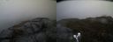 ./images/calvert/buxton2/20190409/buxton220190409_195957M.jpg