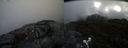 ./images/calvert/buxton2/20190410/buxton220190410_114957M.jpg