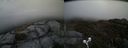 ./images/calvert/buxton2/20190412/buxton220190412_182957M.jpg