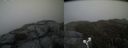 ./images/calvert/buxton2/20190412/buxton220190412_185457M.jpg