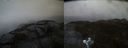 ./images/calvert/buxton2/20190413/buxton220190413_071957M.jpg