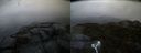 ./images/calvert/buxton2/20190413/buxton220190413_072457M.jpg