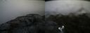 ./images/calvert/buxton2/20190413/buxton220190413_082457M.jpg
