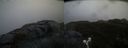 ./images/calvert/buxton2/20190413/buxton220190413_082957M.jpg