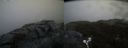 ./images/calvert/buxton2/20190413/buxton220190413_084957M.jpg