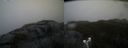 ./images/calvert/buxton2/20190413/buxton220190413_093457M.jpg