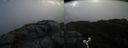 ./images/calvert/buxton2/20190413/buxton220190413_095957M.jpg