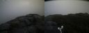 ./images/calvert/buxton2/20190413/buxton220190413_100457M.jpg