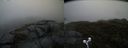 ./images/calvert/buxton2/20190413/buxton220190413_102457M.jpg