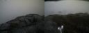 ./images/calvert/buxton2/20190413/buxton220190413_105957M.jpg