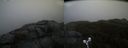 ./images/calvert/buxton2/20190413/buxton220190413_111457M.jpg