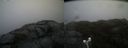 ./images/calvert/buxton2/20190413/buxton220190413_114457M.jpg