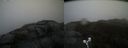 ./images/calvert/buxton2/20190413/buxton220190413_114958M.jpg