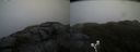 ./images/calvert/buxton2/20190413/buxton220190413_121957M.jpg