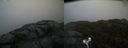 ./images/calvert/buxton2/20190413/buxton220190413_122957M.jpg