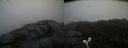 ./images/calvert/buxton2/20190413/buxton220190413_123957M.jpg