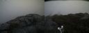 ./images/calvert/buxton2/20190413/buxton220190413_124957M.jpg