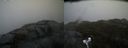 ./images/calvert/buxton2/20190413/buxton220190413_125457M.jpg