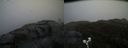./images/calvert/buxton2/20190413/buxton220190413_133457M.jpg