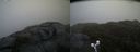 ./images/calvert/buxton2/20190413/buxton220190413_134957M.jpg