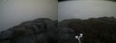 ./images/calvert/buxton2/20190413/buxton220190413_140957M.jpg
