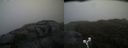 ./images/calvert/buxton2/20190413/buxton220190413_141957M.jpg