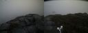 ./images/calvert/buxton2/20190413/buxton220190413_152957M.jpg