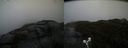 ./images/calvert/buxton2/20190413/buxton220190413_161457M.jpg
