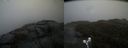 ./images/calvert/buxton2/20190413/buxton220190413_161957M.jpg