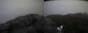 ./images/calvert/buxton2/20190413/buxton220190413_162457M.jpg