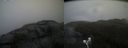 ./images/calvert/buxton2/20190413/buxton220190413_163457M.jpg