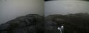 ./images/calvert/buxton2/20190413/buxton220190413_164957M.jpg