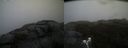 ./images/calvert/buxton2/20190413/buxton220190413_165957M.jpg