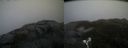 ./images/calvert/buxton2/20190413/buxton220190413_180457M.jpg