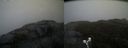 ./images/calvert/buxton2/20190413/buxton220190413_180957M.jpg
