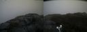 ./images/calvert/buxton2/20190413/buxton220190413_181957M.jpg