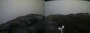 ./images/calvert/buxton2/20190413/buxton220190413_182457M.jpg
