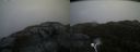 ./images/calvert/buxton2/20190413/buxton220190413_183457M.jpg