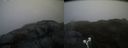 ./images/calvert/buxton2/20190413/buxton220190413_190457M.jpg