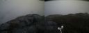 ./images/calvert/buxton2/20190413/buxton220190413_193957M.jpg