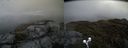 ./images/calvert/buxton2/20190414/buxton220190414_114957M.jpg