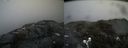 ./images/calvert/buxton2/20190414/buxton220190414_145957M.jpg