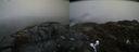 ./images/calvert/buxton2/20190414/buxton220190414_152457M.jpg