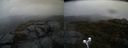 ./images/calvert/buxton2/20190416/buxton220190416_084957M.jpg