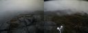 ./images/calvert/buxton2/20190416/buxton220190416_085457M.jpg