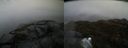 ./images/calvert/buxton2/20190416/buxton220190416_180957M.jpg