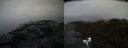 ./images/calvert/buxton2/20190416/buxton220190416_192457M.jpg