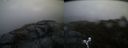 ./images/calvert/buxton2/20190417/buxton220190417_063456M.jpg