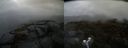 ./images/calvert/buxton2/20190417/buxton220190417_164957M.jpg