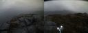 ./images/calvert/buxton2/20190417/buxton220190417_194957M.jpg